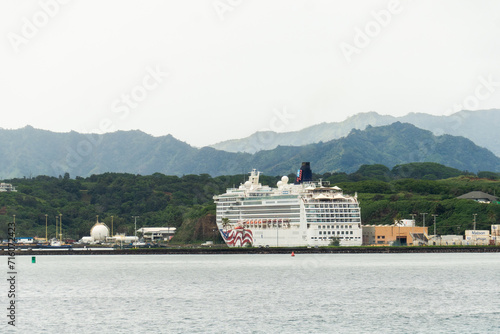 a cruise ship on the coast