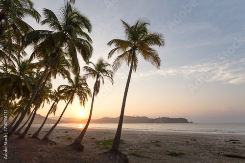 Sunrise over exotic sandy beach with palm trees, Playa Carrillo, Costa Rica photo