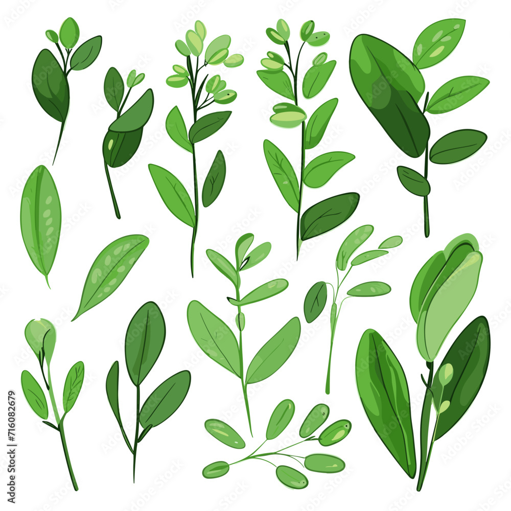 Set of Fava Greens hand drawing isolated vector illustration, spring collections Set of Fava Greens hand drawing isolated vector illustration, spring collections