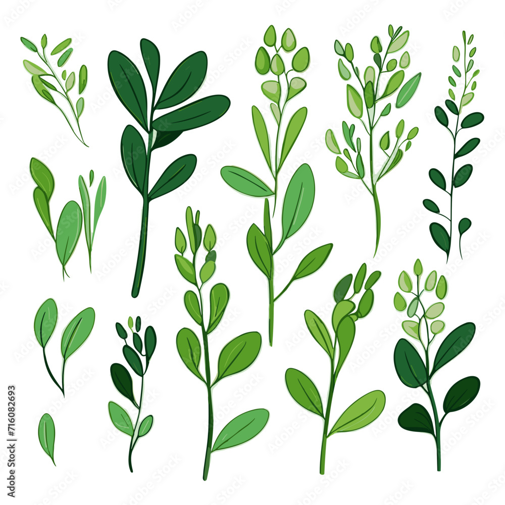 Set of Fava Greens hand drawing isolated vector illustration, spring collections