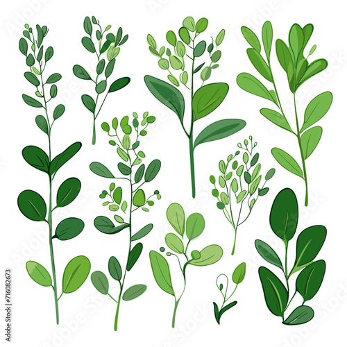 Set of Fava Greens hand drawing isolated vector illustration  spring collections