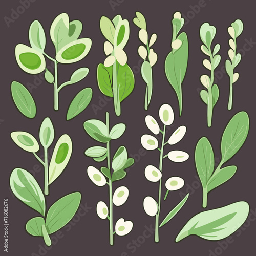 Set of Fava Greens hand drawing isolated vector illustration, spring collections