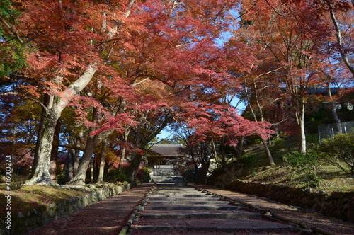 秋の毘沙門堂 勅使門参道の紅葉 京都市山科区