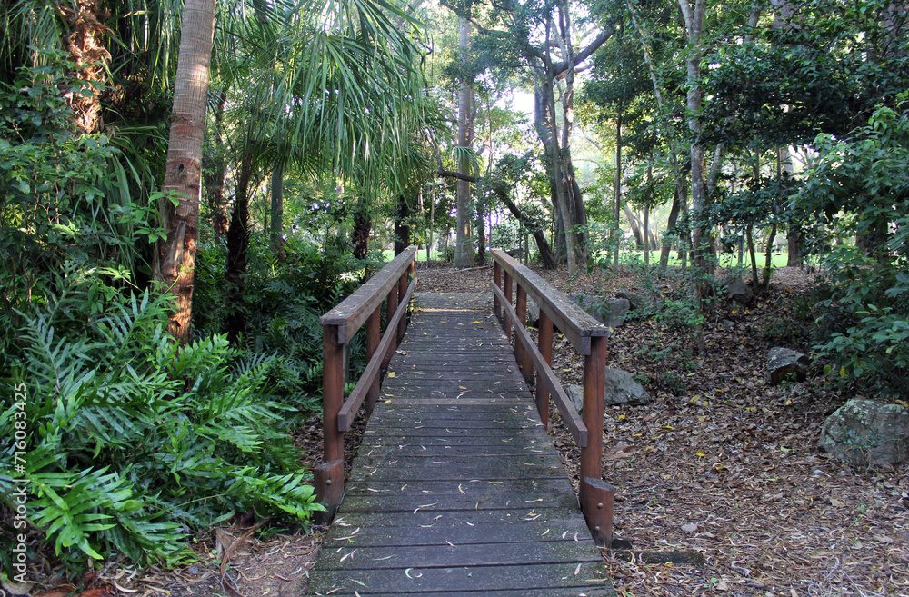 Fototapeta premium Wooden bridge in a park with trees and plants