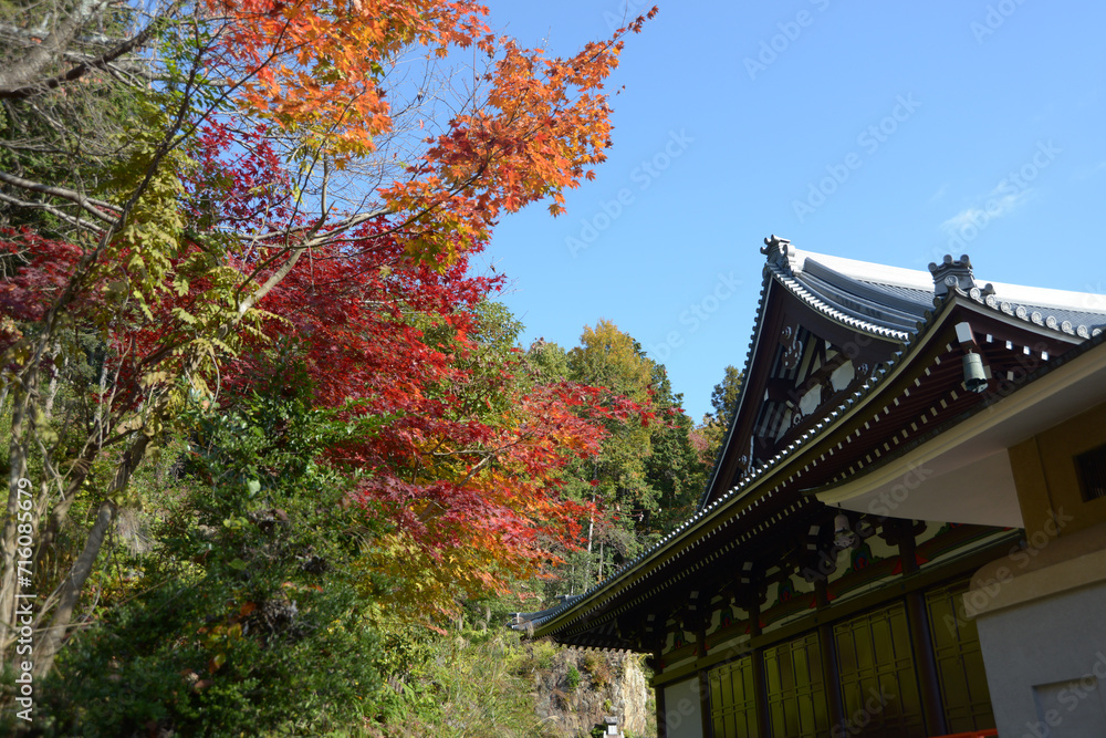秋の本圀寺　境内の紅葉　京都市山科区