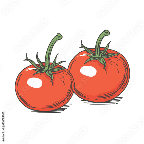 Red tomato vector illustration