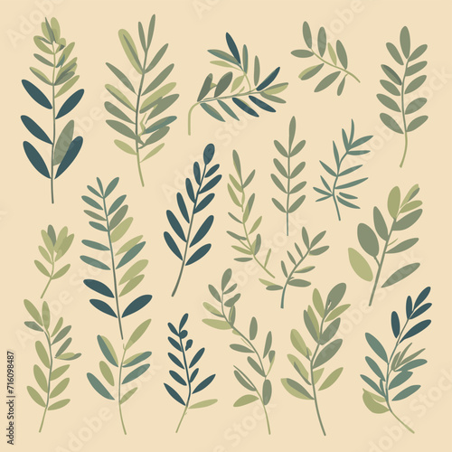 Olive branches illustration leaves set vector collection