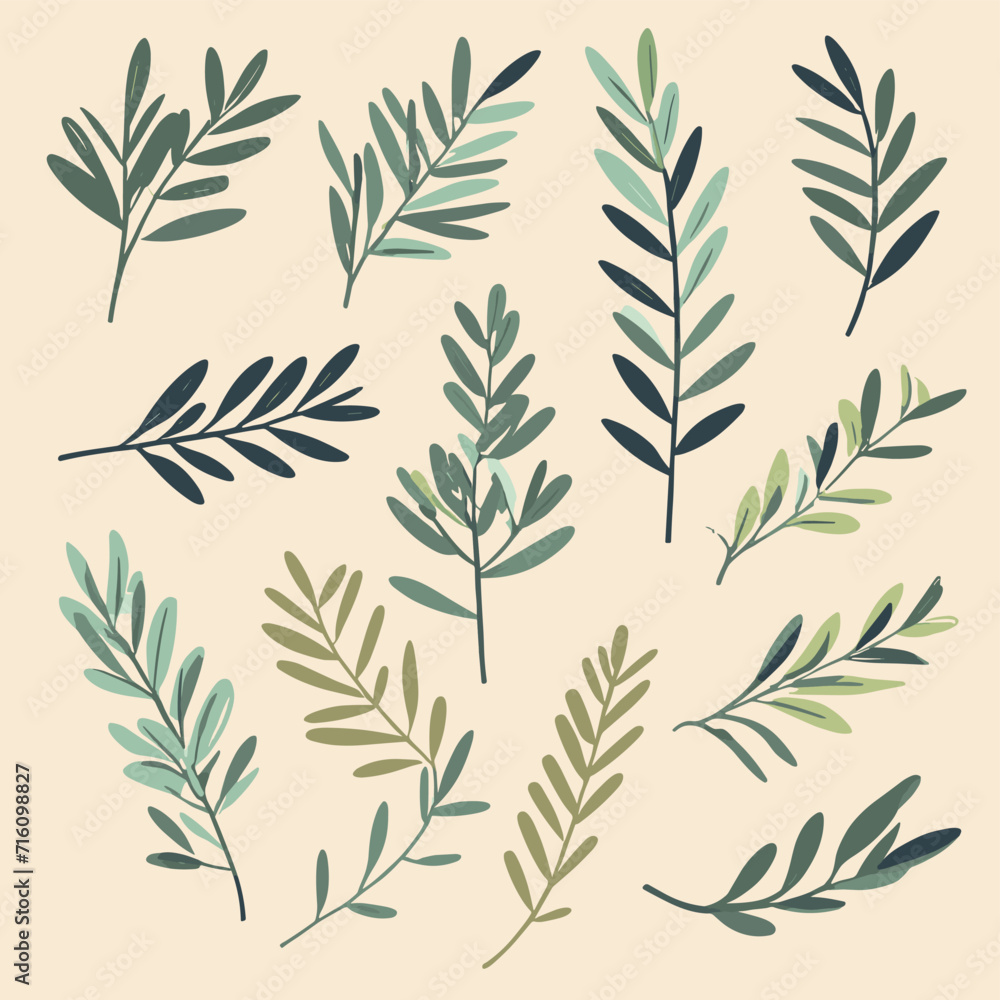 Fototapeta premium Olive branches illustration leaves set vector collection