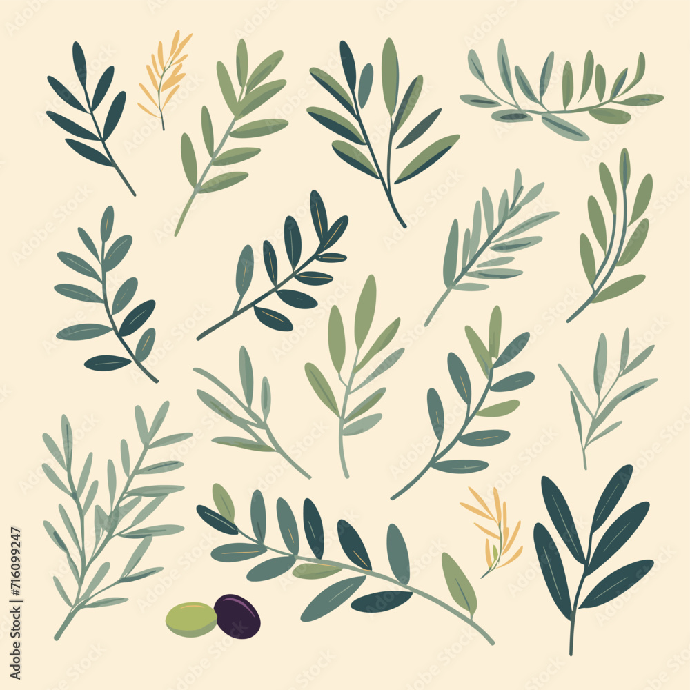 Olive branches illustration leaves set vector collection Olive branches illustration leaves set vector collection