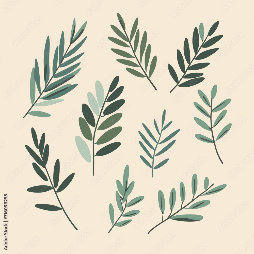 Olive branches illustration leaves set vector collection Olive branches illustration leaves set vector collection