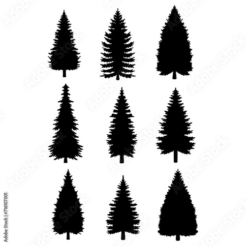 Isolated Pine on the white background. Pine silhouettes. Tree hand drawn. Vector EPS 10. 