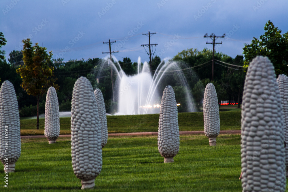 Fototapeta premium View of the Field of Corn at the Sam and Eulalia Frantz Park, Dublin, Ohio