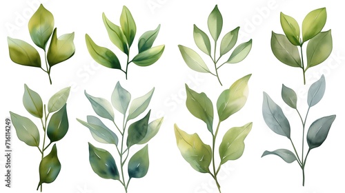 Green Leaves Set in Watercolor