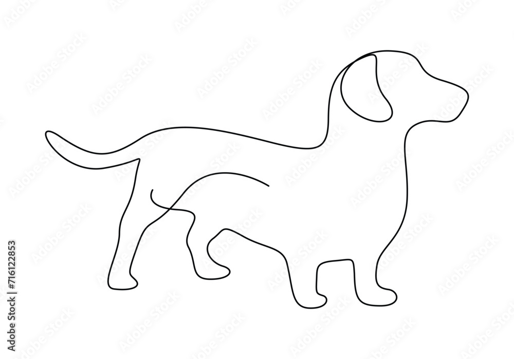 Dachshund dog single continuous one line art vector illustration. Pro vector