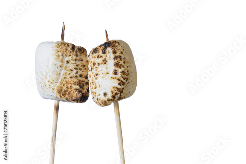 Roasted Marshmallows on a stick