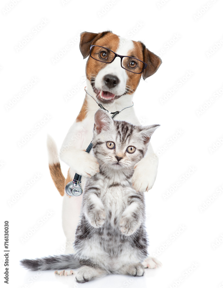 Smart jack russell terrier wearing like a doctor with stethoscope on his neck hugs tiny kitten. isolated on white background