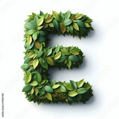 The letter E is made out of leaves, leaves Alphabet, on a White background, isolated on white, photorealistic 