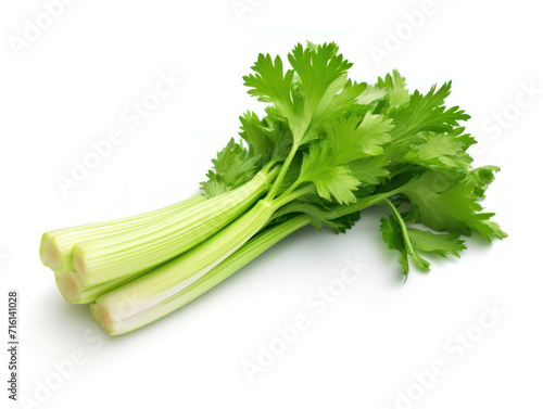 Fresh Celery Isolated on white background