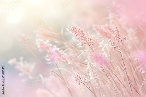 An ethereal display of delicate flowers in a dreamy pastel setting evokes a sense of calm and serenity