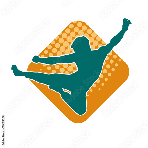 Silhouette of a male model doing martial art kick pose. Silhouette of a martial art kicking pose.