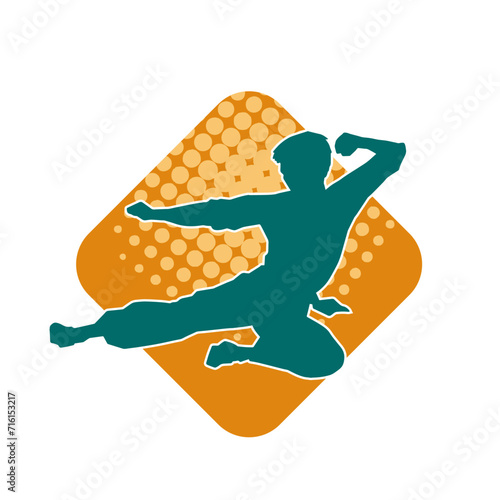 Silhouette of a male model doing martial art kick pose. Silhouette of a martial art kicking pose.