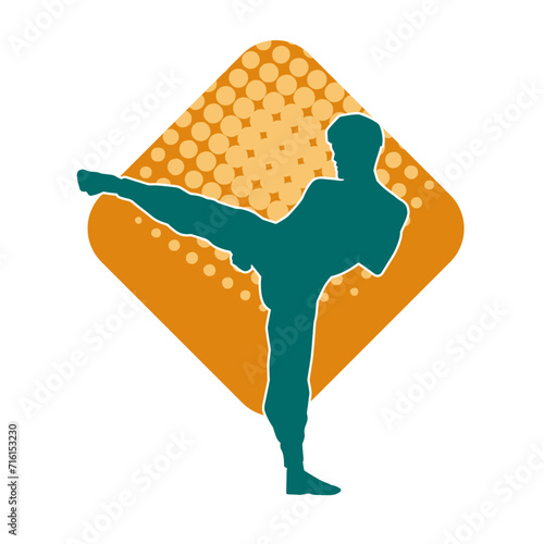 Silhouette of a male model doing martial art kick pose. Silhouette of a martial art kicking pose.