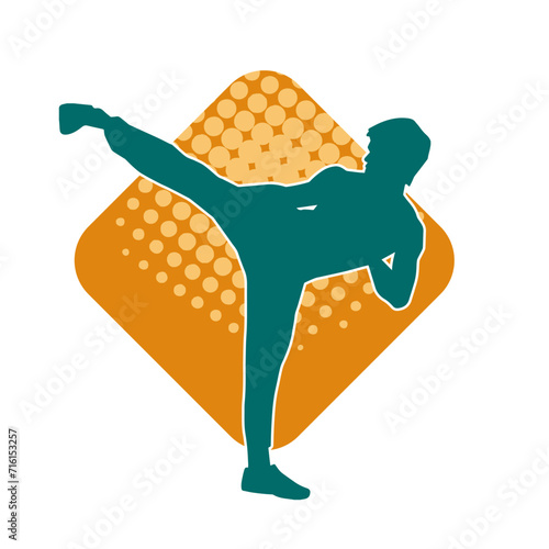 Silhouette of a male model doing martial art kick pose. Silhouette of a martial art kicking pose.