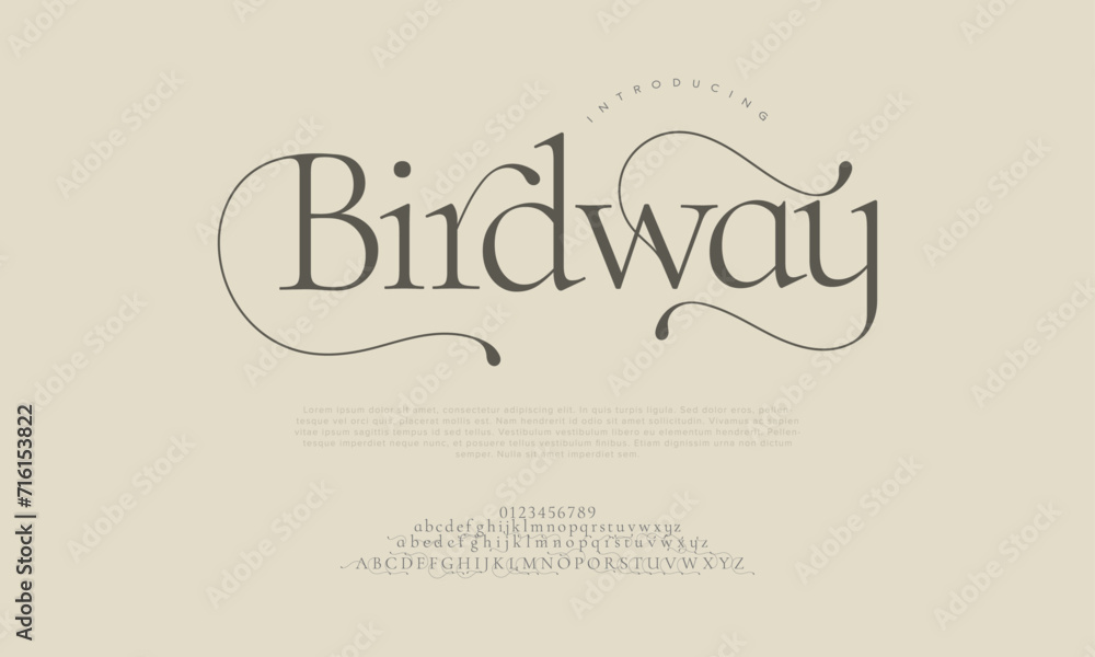 Birdway premium luxury elegant alphabet letters and numbers. Elegant wedding typography classic serif font decorative vintage retro. Creative vector illustration