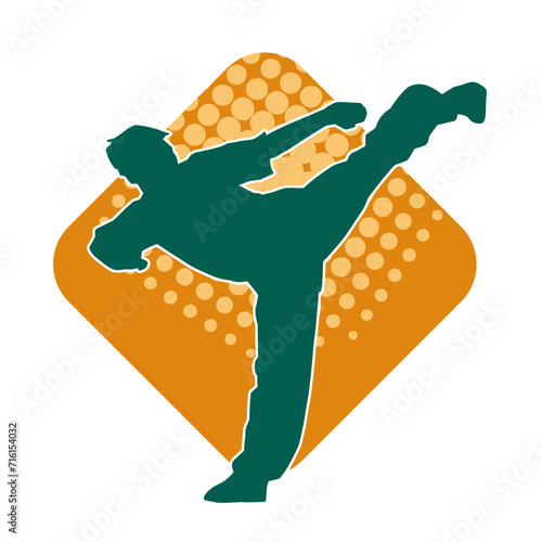 Silhouette of a male model doing martial art kick pose. Silhouette of a martial art kicking pose.