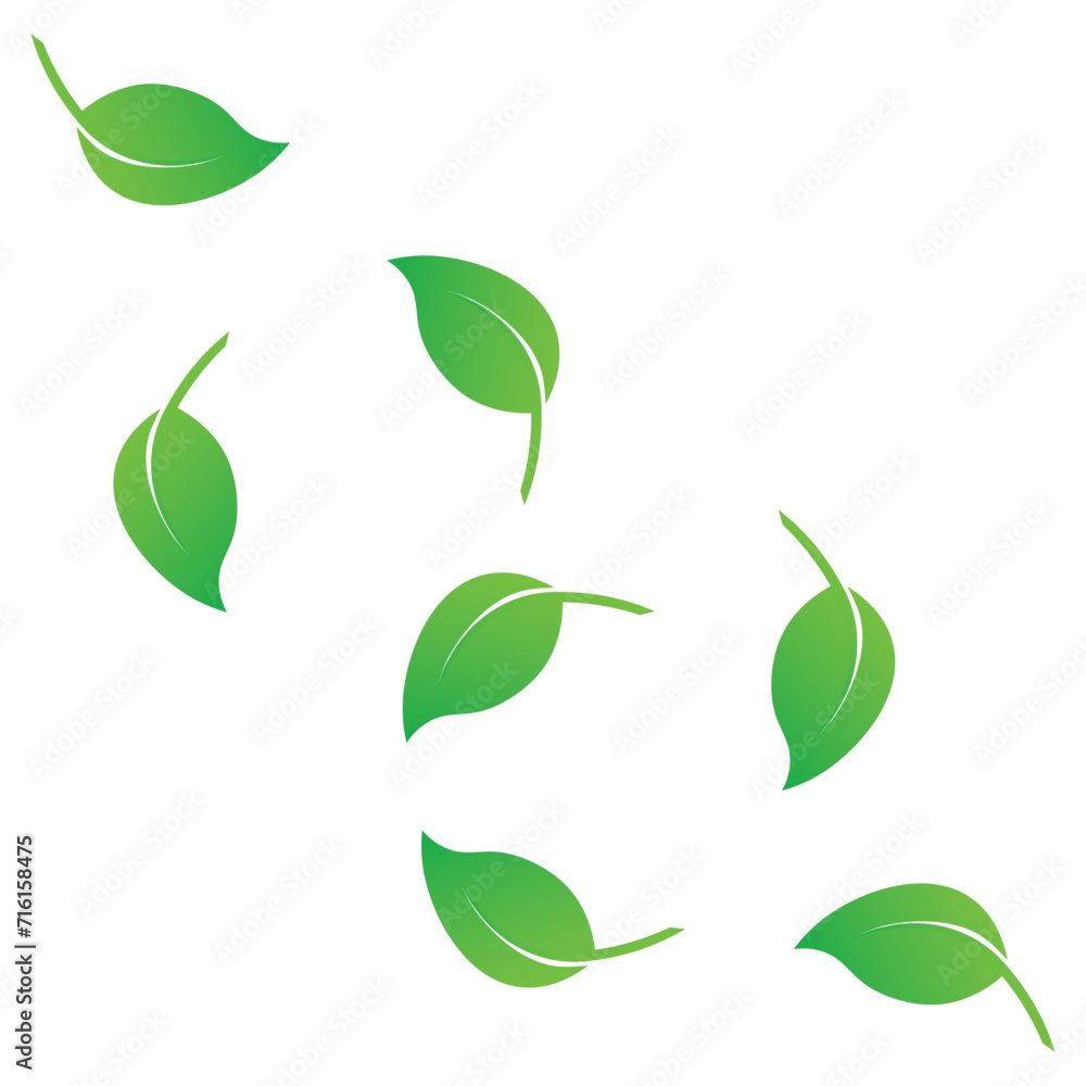Fresh leaf template vector Fresh leaf template vector