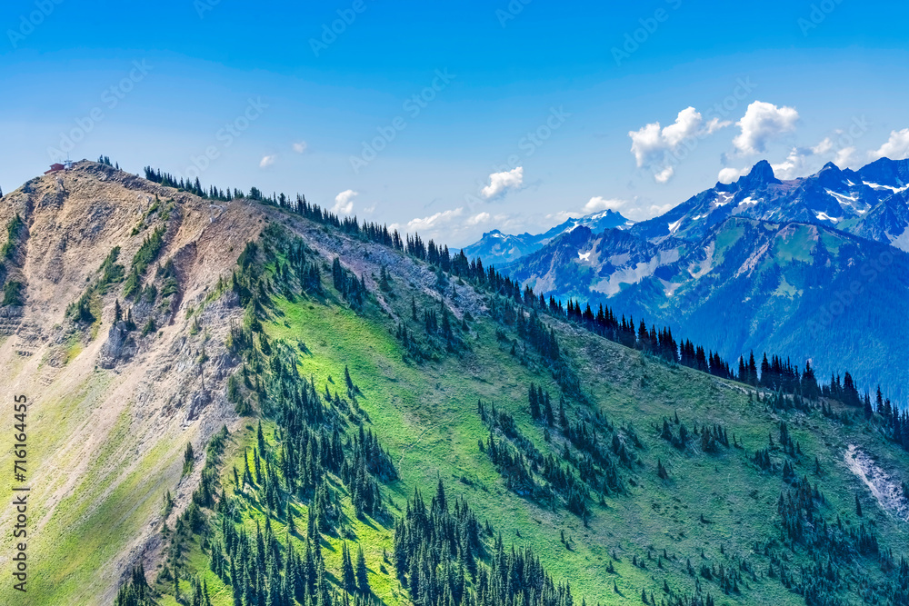 Green Foothills Mount Rainier Crystal Mountain Lookout Washington