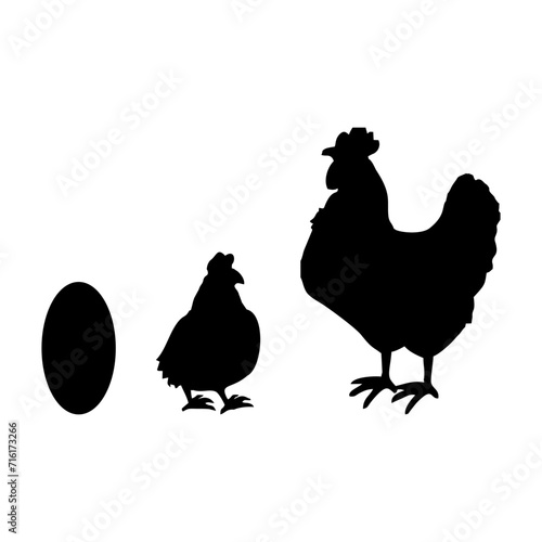 hen and chicken