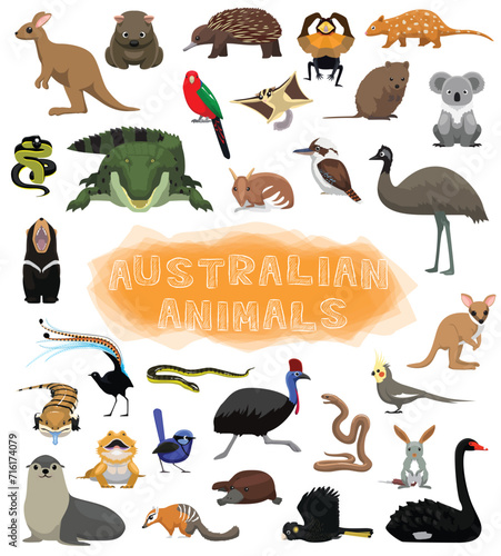 Cute Australian Animals Set Cartoon Vector