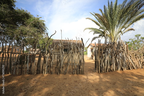wooden fence and trees in the countryside