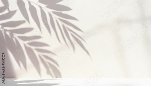 ボタニカル　植物　葉　影　シルエット　イメージ　フレーム　背景　AI生成画像　イラスト素材 photo