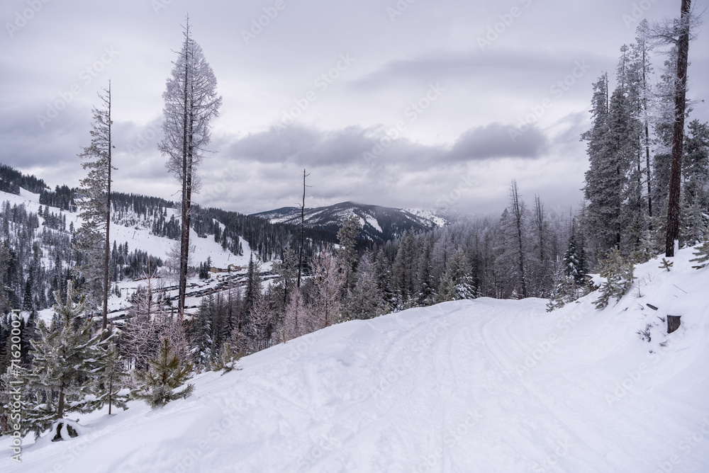 Obraz premium Snowmobile Road In Winter