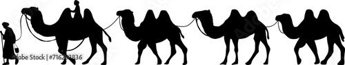 Camel Herder Silhouette illustration. Camel Caravan Silhouette