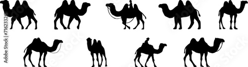 Collection of Camel icon. Camel Silhouette