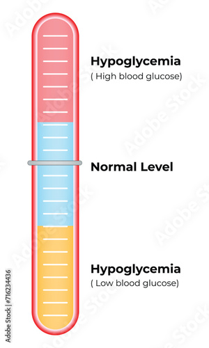 Hypoglycemia Normal Level Science Design Vector Illustration