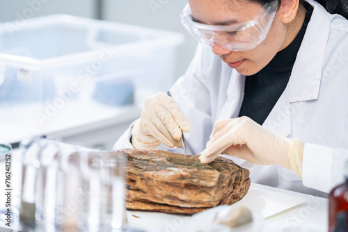 Картината върху платно Expert female geologist or archaeologist working with rock, stone or fossil sample in paleontology, archaeological and geological or historic laboratory
