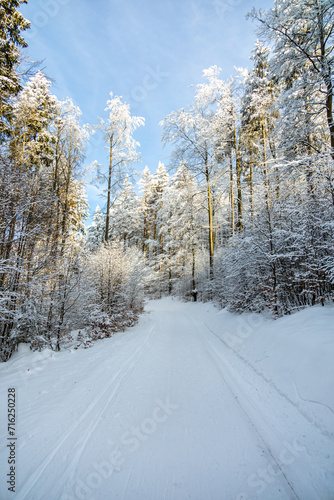 Kleine Winterwanderung im runde um den verschneiten Inselsberg bei Brotterode - Thüringen - Deutschland