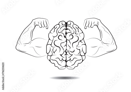 brain shows biceps, brain power, human organ. Concept training memory, intelligence, strong mind.