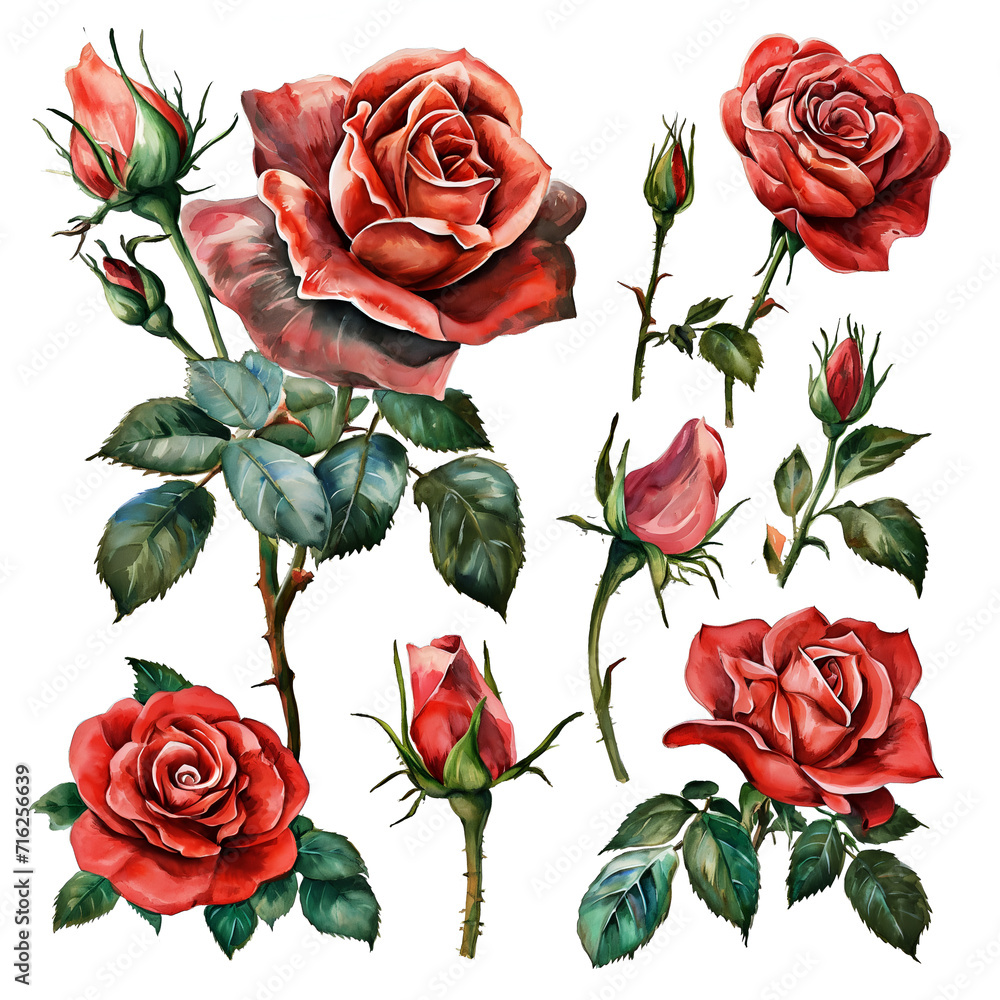 set of red roses on white background, water color style - obrazy, fototapety, plakaty 