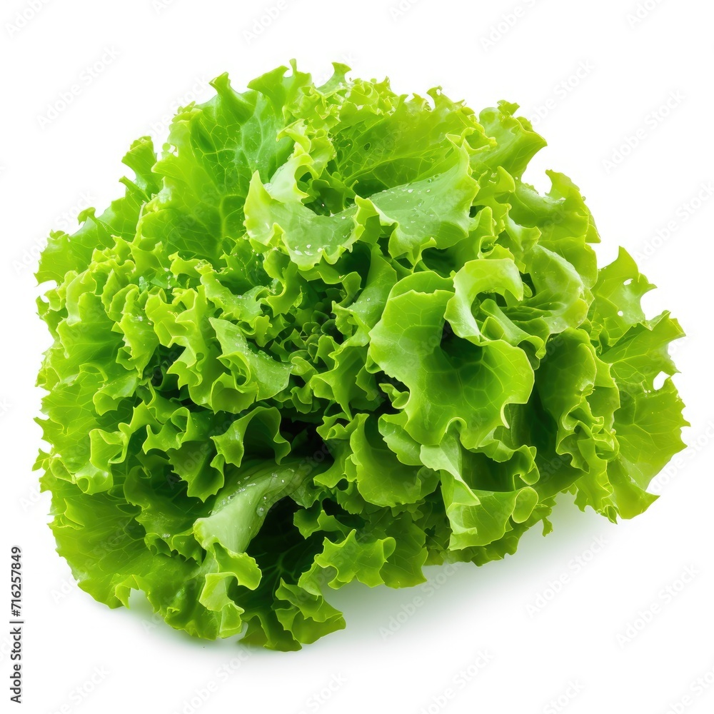 green leaves of iceberg lettuce isolated on white background green leaves of iceberg lettuce isolated on white background
