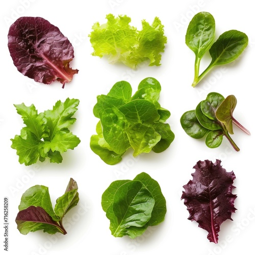 Set salad leaves. Mesclun mix, a blend of various baby salad leaves isolated on white background photo