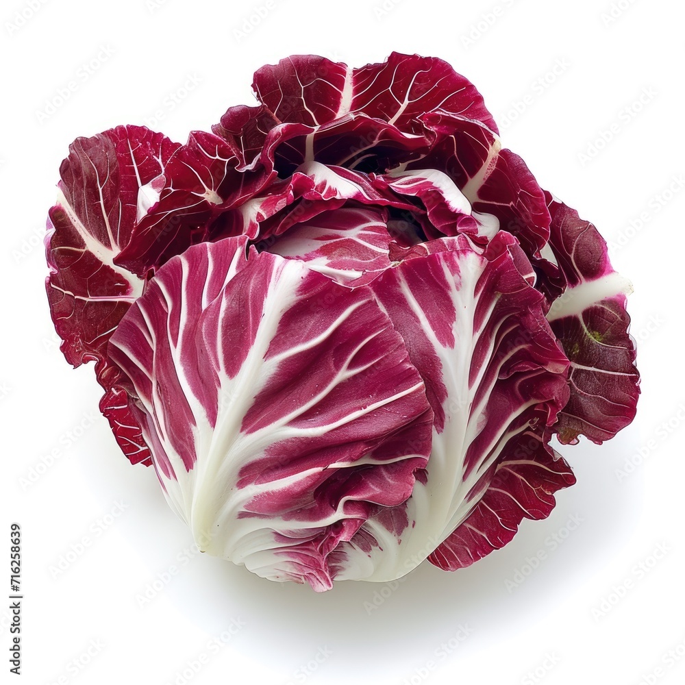Obraz premium radicchio, with its striking burgundies leaves isolated on white background