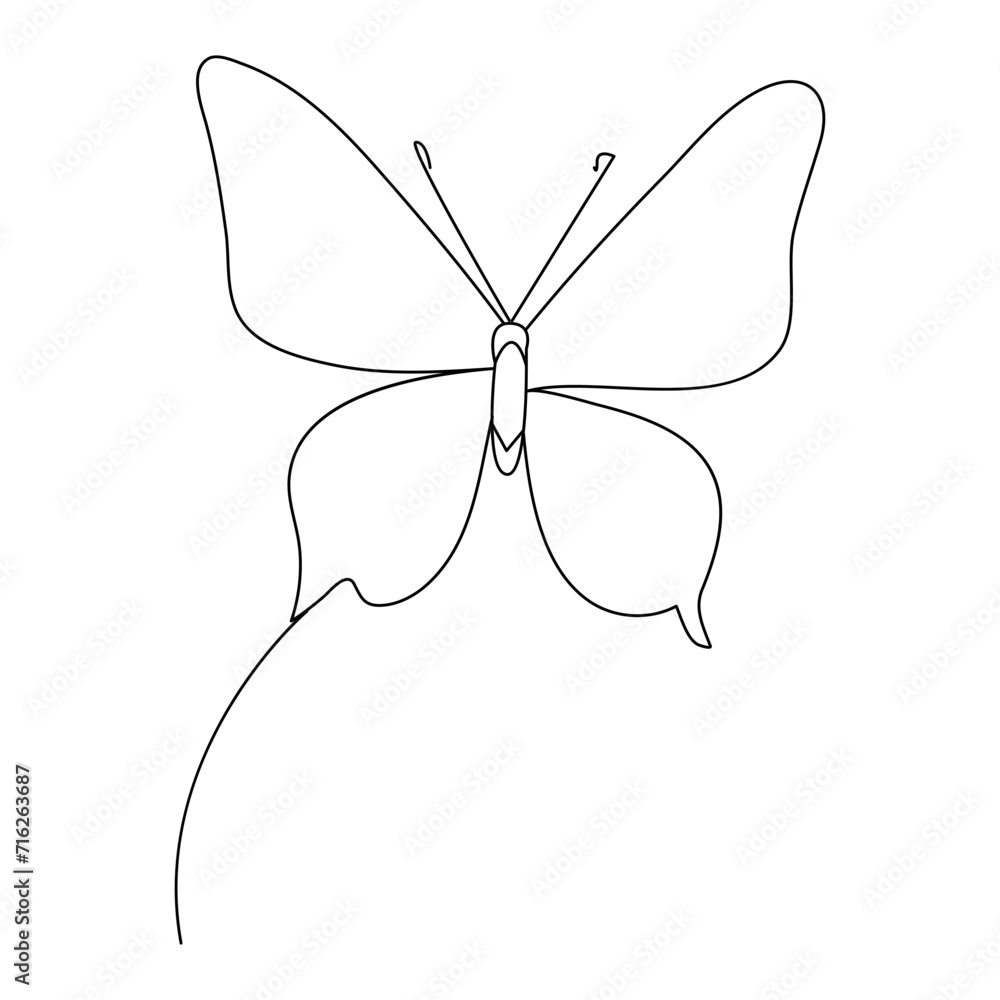Fototapeta premium Butterfly continuous one line drawing element isolated on white background and single line art outline vector illustration