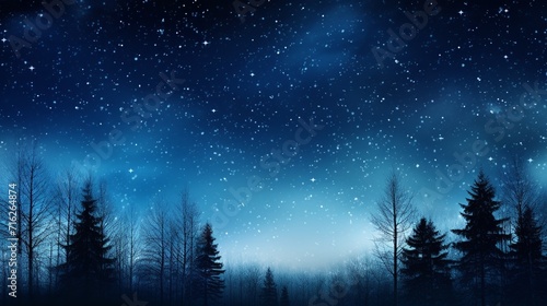 Winter landscape with fir trees and starry sky. © RMTH