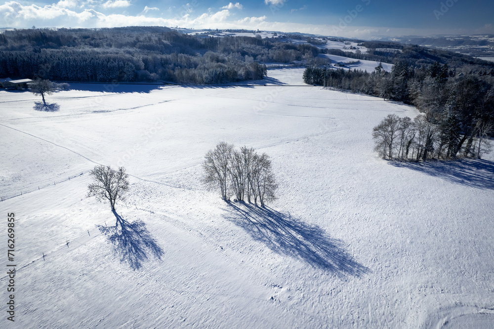 Vue aérienne d'arbres dans un champ de neige Vue aérienne d'arbres dans un champ de neige