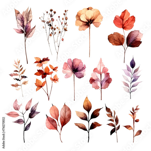 set of dry flowers, dried leaf and twig